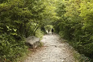 Hikers in the forest, Velika Paklenica Canyon