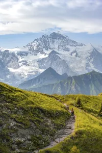 Hikers on hiking trail, snow-covered mountain peaks