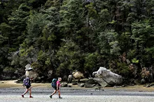Framed Print : Hikers on the Low Tide Track in Torrent Bay Framed Print : Hikers on the Low Tide Track in Torrent Bay
