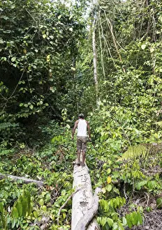 Hikers, man walking on a tree trunk in the jungle