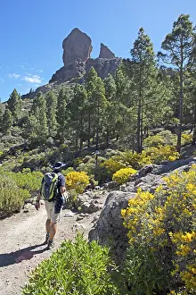 Hikers in the Parque Rural del Nublo