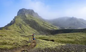 Hikers on trail through moss-covered mountain landscape