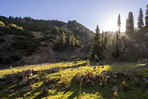 Hikers in a valley with forest in the morning