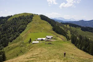 Hikers on the way to the Oberwiesalmen with Loibersbacher Hoehe