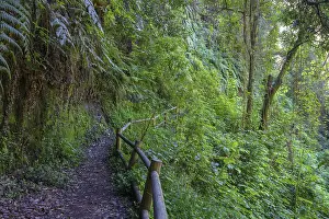 Hiking through the Barranco de la Galga