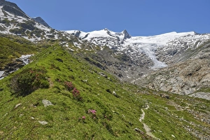 Category Mountain Landscapes Prints: Hiking along the glacier trail in Innergschloess