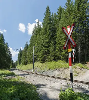 hiking path crosses railroad tracks in the forest at an ungarded railroad crossing
