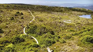 A hiking path and it's vegetation in front of the vastness of Tasmania