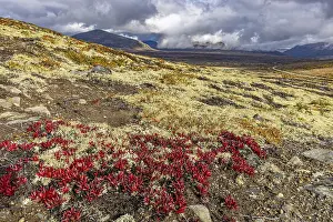 Hiking to Snohetta Viewpoint, Dovrefjell NP