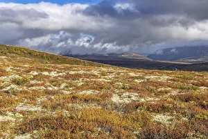 Hiking to Snohetta Viewpoint, Dovrefjell NP