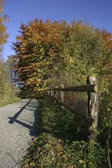 Hiking trail in an autumn landscape