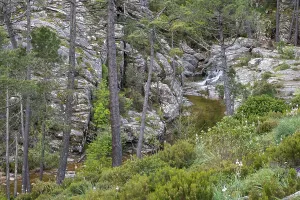 Hiking trail to the Cascade de Piscia di Gallo waterfall