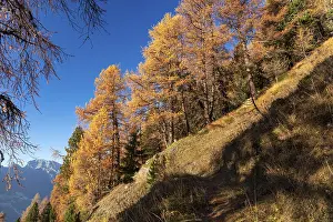 Hiking trail at the Col de la Marlene