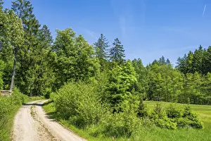 Hiking trail going through the landscape beside a forest next to a meadow old hunts by Turn