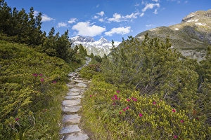 Hiking trail, in the back Grosser and Kleiner Moerchner