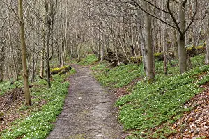 Hiking Trail Harz Selketal