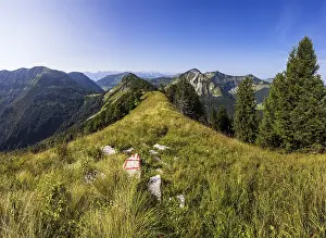 Category Mountain Landscapes Prints: Hiking trail to Holzeck with Gennerhorn