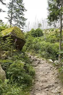 Hiking trail along the Ilse in the Ilse valley