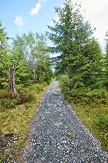 Hiking trail to Mount Lusen in late summer