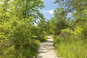 Hiking trail through the nature reserve on the Heller