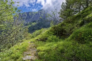 Hiking trail at Passo Croce in the Garfagnana mountain landscape to the peaks of the Apuan Alps