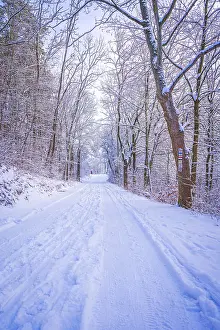 Hiking trails covered with snow in the mixed forest on the Kernberge in Jena in winter
