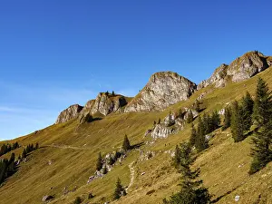 Hiking trails in the Rotwand area below the Rotwand-Koepfe