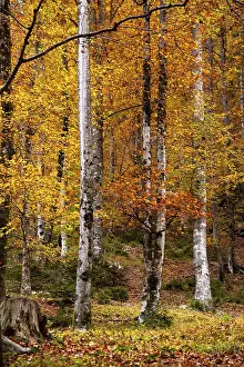 Hiking through the Vrata valley in autumn