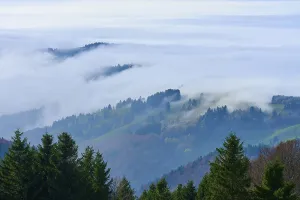 Hills and forests rise out of dense