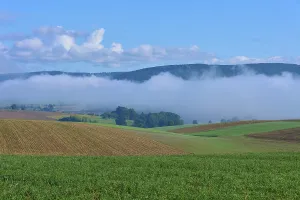 Hilly fields with fog and clear blue sky