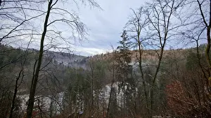 A hilly forest landscape with bare trees and fog under a cloudy sky