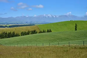 Hilly landscape with green fields and trees under blue sky