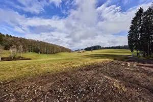 Hilly landscape, hills, coniferous forest