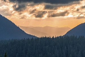 Hilly wooded mountain landscape at sunset with dramatic clouds