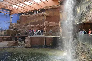 Hippopotamus enclosure, Afrykarium
