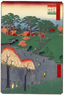 Hiroshige's One Hundred Famous Views of Edo (名所江戸百景)