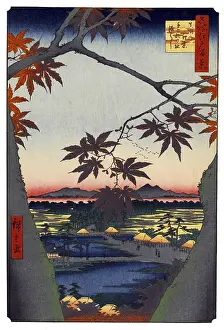 Hiroshige's One Hundred Famous Views of Edo (名所江戸百景)
