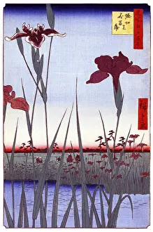 Hiroshige's One Hundred Famous Views of Edo (名所江戸百景)