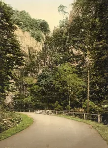 The Hirschsprung in the Black Forest
