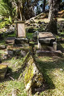 Historic Bel Air Cemetery, although already badly dilapidated