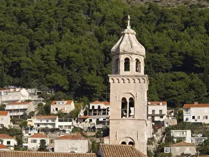 Historic bell tower surrounded by houses and green vegetation in front of a densely wooded hill