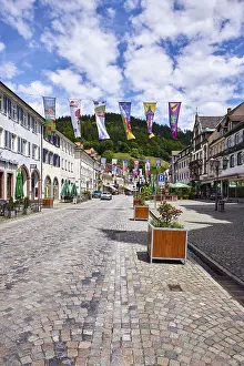 Historic buildings, old town, flower pots