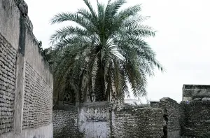 Historic buildings in the old town of Zebid, Zabid, Yemen 1998 UNESCO World Heritage Site