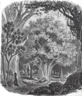 Historic, digitally restored reproduction from a 19th century original