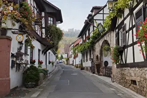 Historic Hambach Castle Lane
