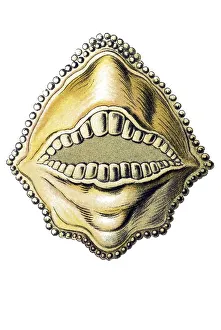Historic illustration, Boxfish (Ostracion cornatus)