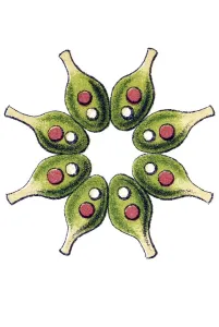 Historic illustration, Melethallia (Melethallia)