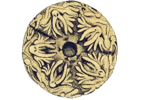 Historic illustration, Sea Star (Asteroidea)