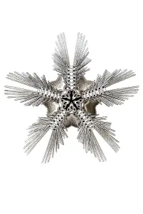 Historic illustration, tablet 10