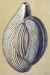 Historic illustration, tablet 12